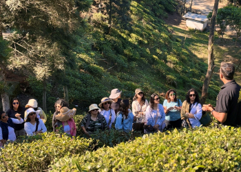 Private Charter Cruise on the Brahmaputra