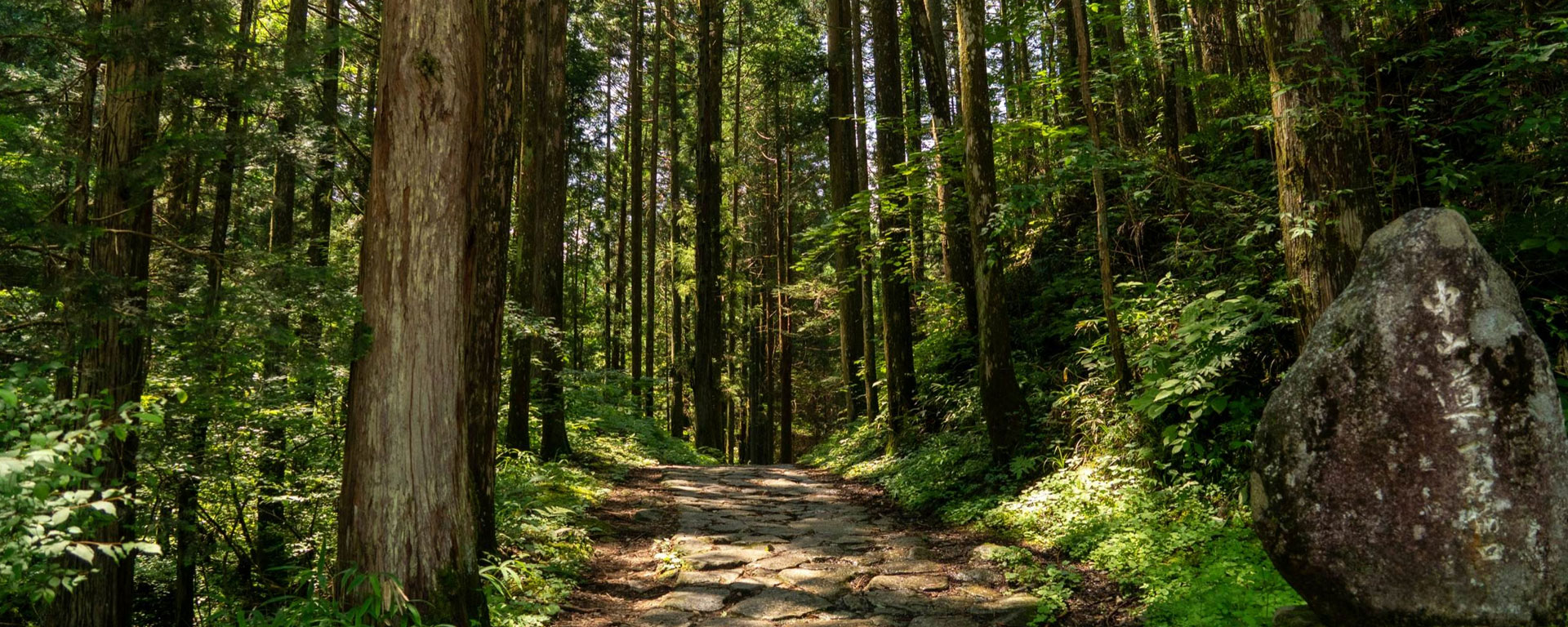 Small Group Tour to Japan Japan Walking Tour Curated Experiences Immersive Journeys