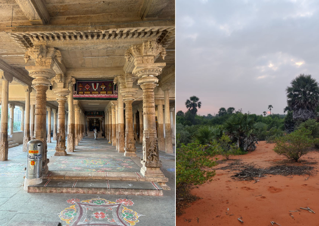 Rural Escapes: The Soul of Tamil Nadu