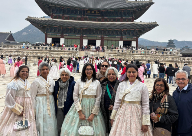 South Korea - A Curated Cherry Blossom Escape