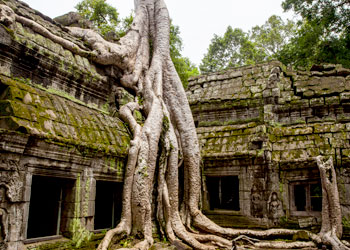 Flavours Of Vietnam & Cambodia 2019