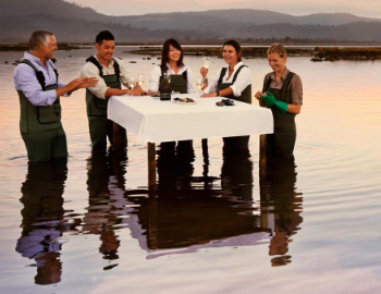 Tasmania Small Group Tours